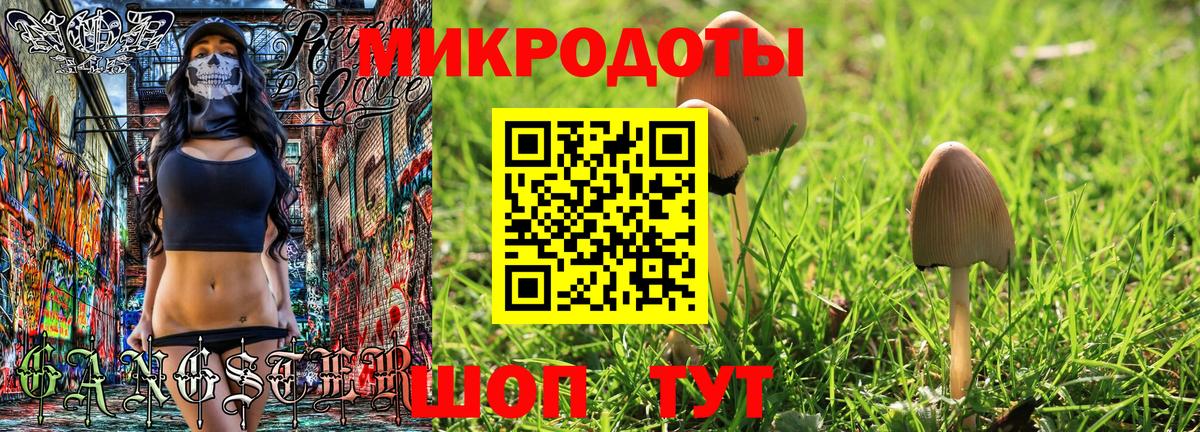 Минусинск  Псилоцибиновые грибы MAGIC MUSHROOMS  хочу   Вход с VPN 